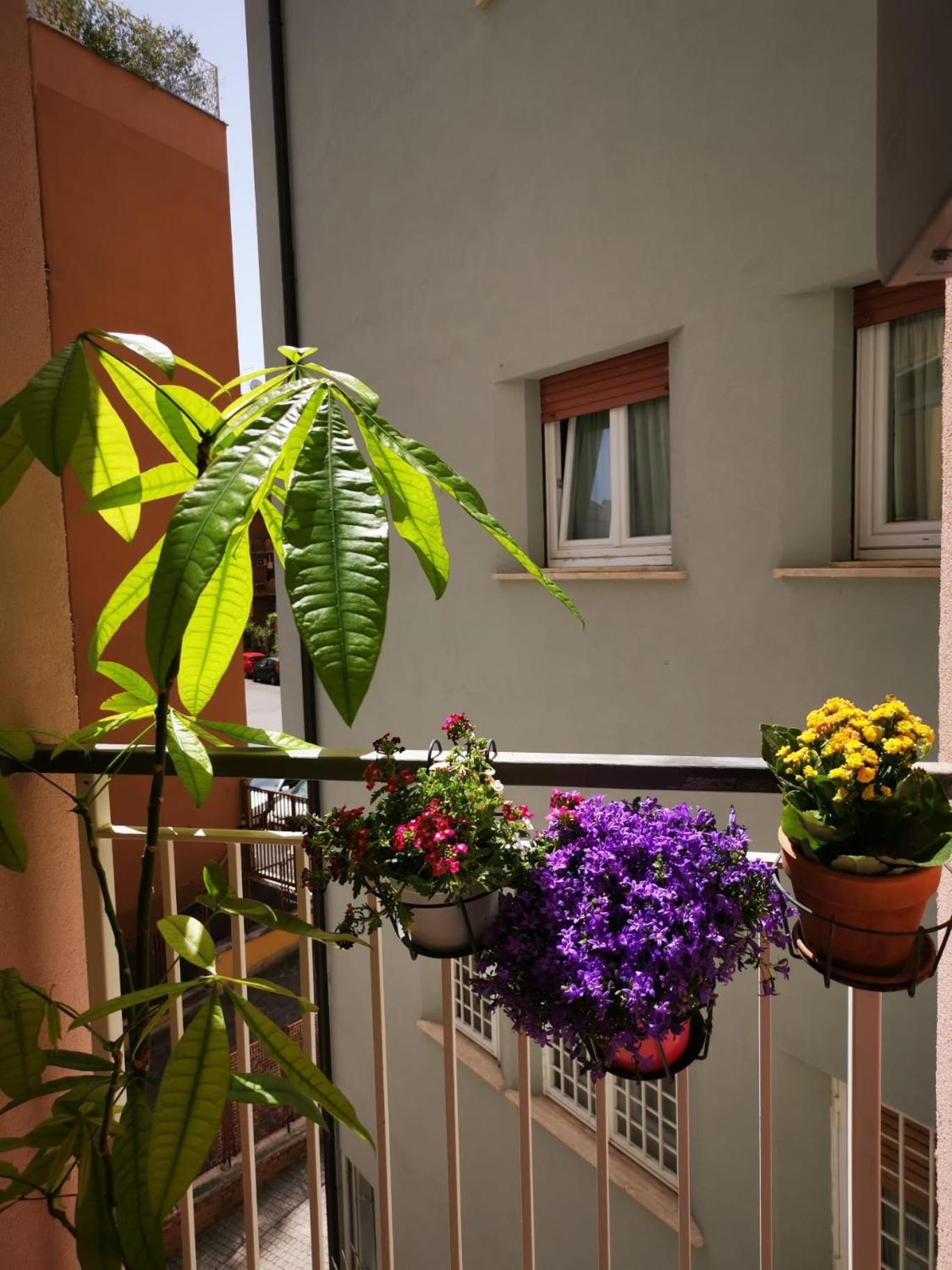 Apuleio 11 Appartement